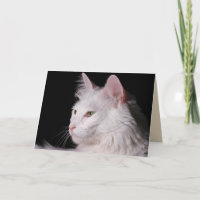 cartão de saudação de gato angora