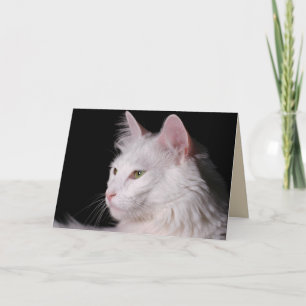 cartão de saudação de gato angora