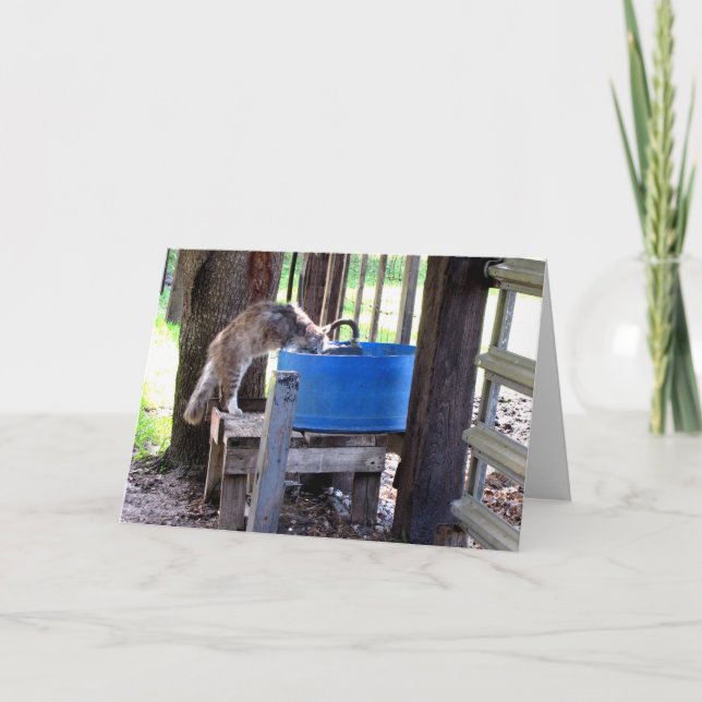 Cartão de Saudação de Gato de fazenda (Frente)