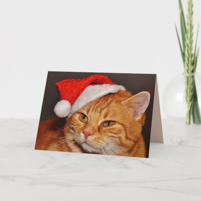 Cartão de saudação de gato de Natal (Frente)