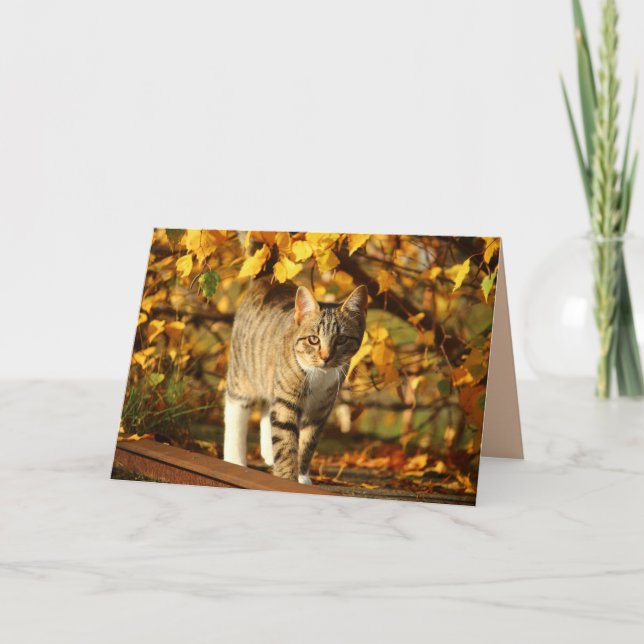 Cartão de saudação de gato outono (Frente)
