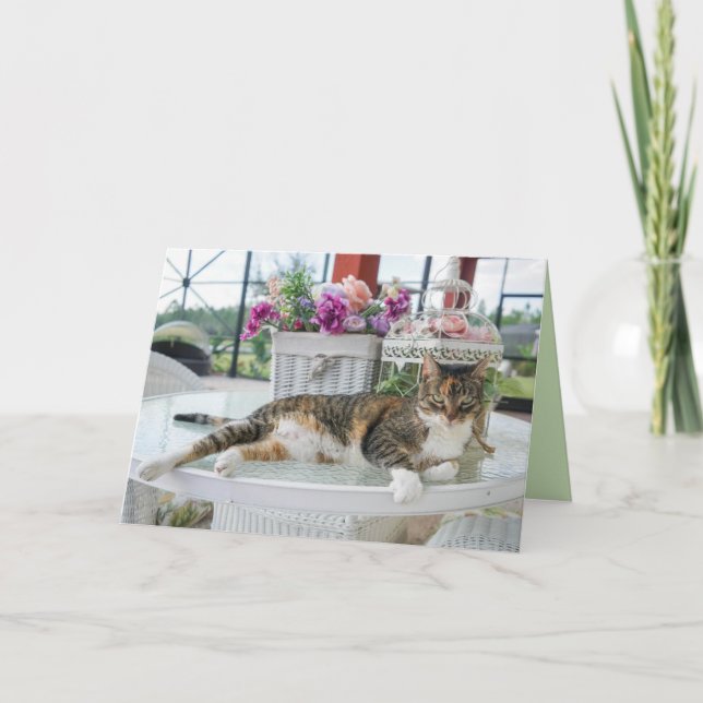 cartão de saudação de gato primavera (Frente)