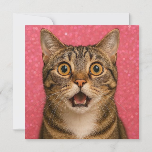Cartão de saudação de gato surpreso. (Frente)