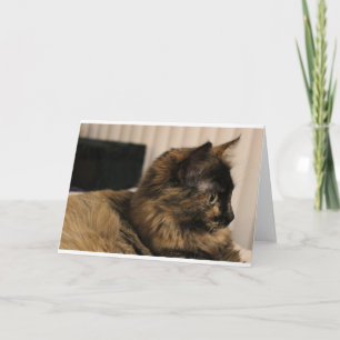 Cartão de saudação de gato TortoisesInferno - dent