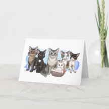 Cartão de saudação de gatos e tripulantes 5" x 7"
