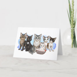 Cartão de saudação de gatos e tripulantes 5" x 7"