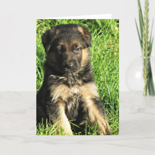 Cartão de saudação de german shepherd