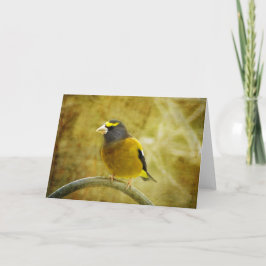 Cartão de Saudação de Grosbeak Evening Texturizado