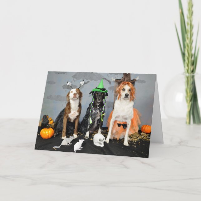 Cartão de saudação de Halloween. Foto, 3 cães no a (Frente)