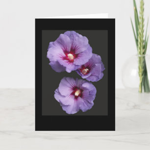 Cartão de saudação de Hibiscus Azul