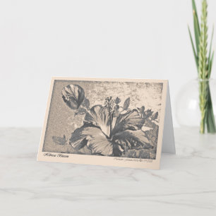Cartão de saudação de Hybiscus blosom
