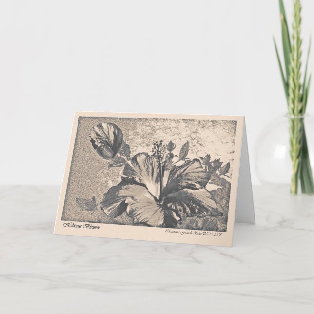 Cartão de saudação de Hybiscus blosom (Frente)