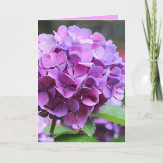 Cartão de Saudação de Hydrangea Purple