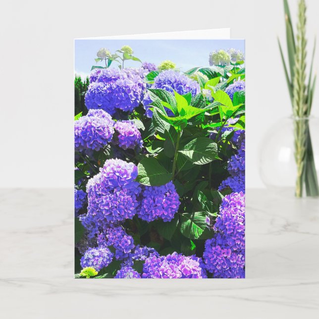 Cartão de Saudação de Hydrangea Realista Púrpura C (Frente)