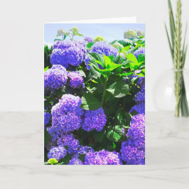 Cartão de Saudação de Hydrangea Realista Púrpura C