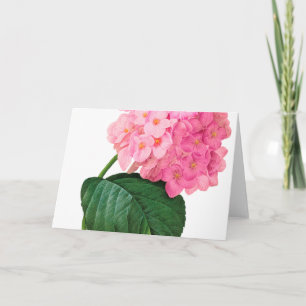 Cartão de Saudação de Hydrangea Rosa