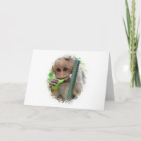 Cartão de Saudação de Imagem Macaco Engraçado