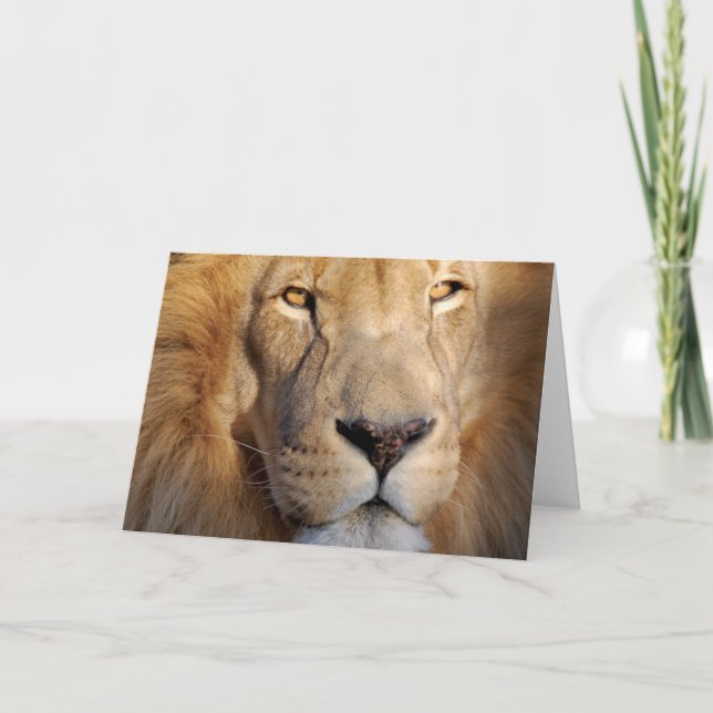 Cartão de Saudação de Imagens Lion (Frente)