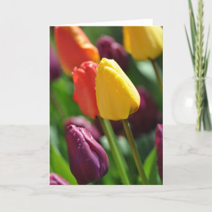 Cartão de saudação de jardim de primavera tulipas