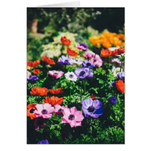Cartão de Saudação de Jardim Flor para obrigado