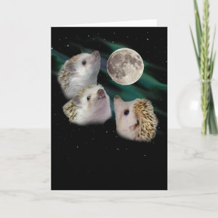 Cartão de Saudação de Lua de Hedgehog