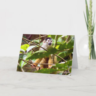 Cartão de Saudação de Macaco de Esquilo