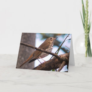 Cartão de Saudação de Madeira Thrush