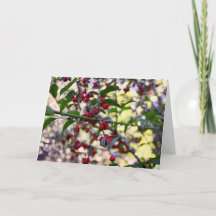 Cartão de Saudação de Natal