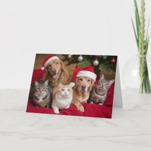Cartão de Saudação de Natal Dobrado para Gatos e C