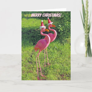 Cartão de Saudação de Natal Flamingo Divertido!