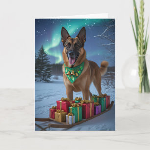 Cartão de Saudação de Natal para Cachorro Malinois