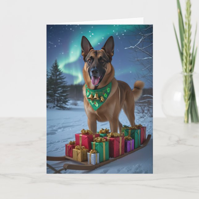 Cartão de Saudação de Natal para Cachorro Malinois (Frente)
