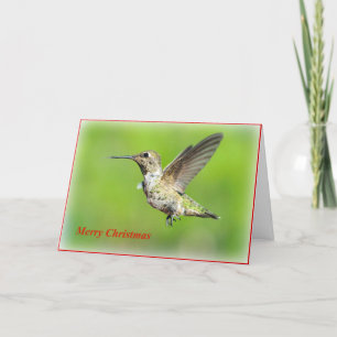 Cartão de Saudação de Natal para o Hummingbird