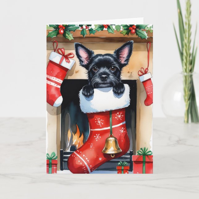 cartão de saudação de natal preto Schipperke (Frente)