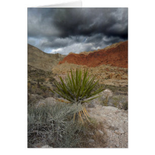 Cartão de Saudação de Ocasião para o Vazio Sudoest