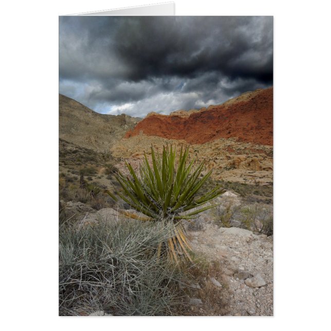 Cartão de Saudação de Ocasião para o Vazio Sudoest (Frente)