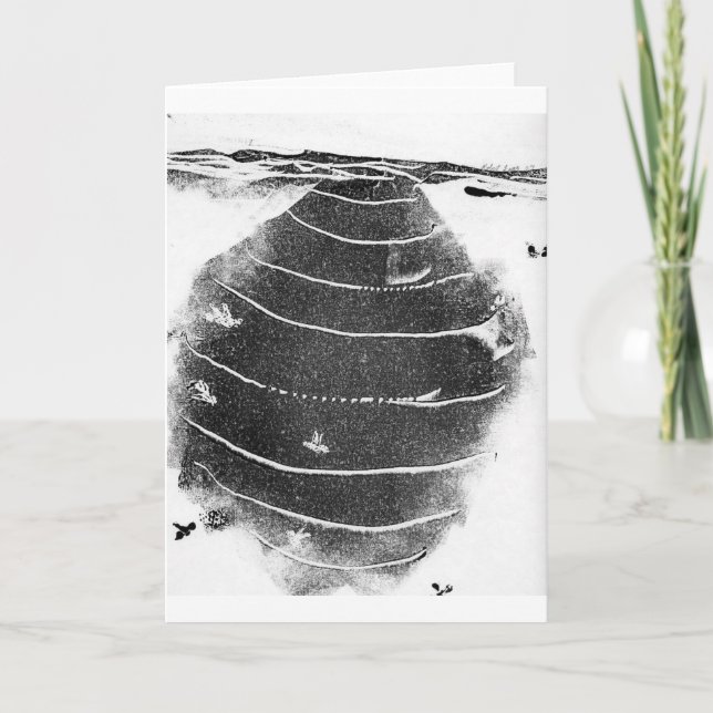 Cartão de Saudação de Odities da Natureza (Frente)