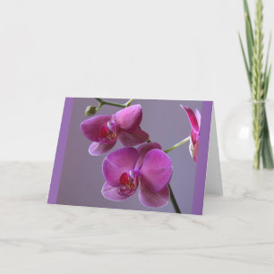 Cartão de saudação de orquídea de falaenopse púrpu