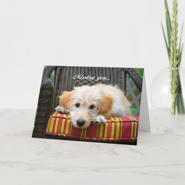 Cartão de Saudação de Ouro (Frente)