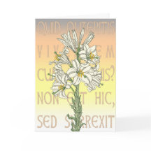 Cartão de Saudação de páscoa Luke 24:5