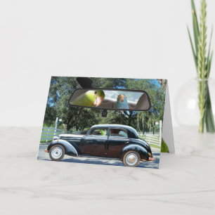 Cartão de saudação de pássaros Daisy Parrotlet