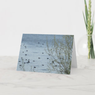 Cartão de Saudação de Pássaros do Lago