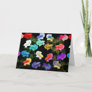 Cartão de Saudação de Peixe de Betta Aquário Color