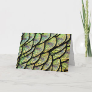 Cartão de Saudação de Penas de Peacock