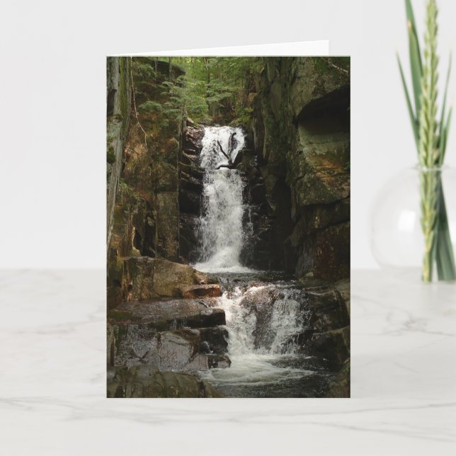 Cartão de Saudação de Pequeno Flume (Frente)