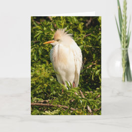 Cartão de Saudação de Perfil Egrete para Bovinos