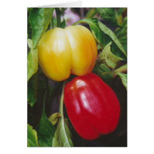 Cartão de Saudação de Pimentos Red Bell