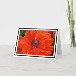 Cartão de saudação de Poppy