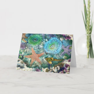 Cartão de Saudação de Reflexões do Tidepool