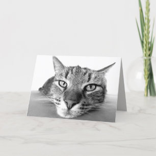 Cartão de saudação de refrigeração